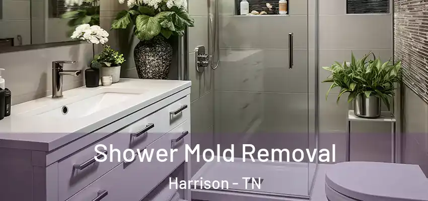 Shower Mold Removal Harrison - TN