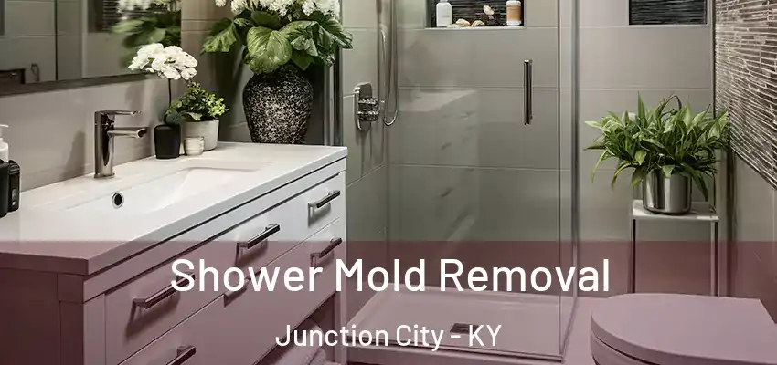  Shower Mold Removal Junction City - KY