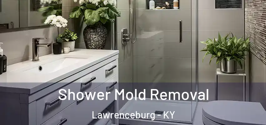 Shower Mold Removal Lawrenceburg - KY
