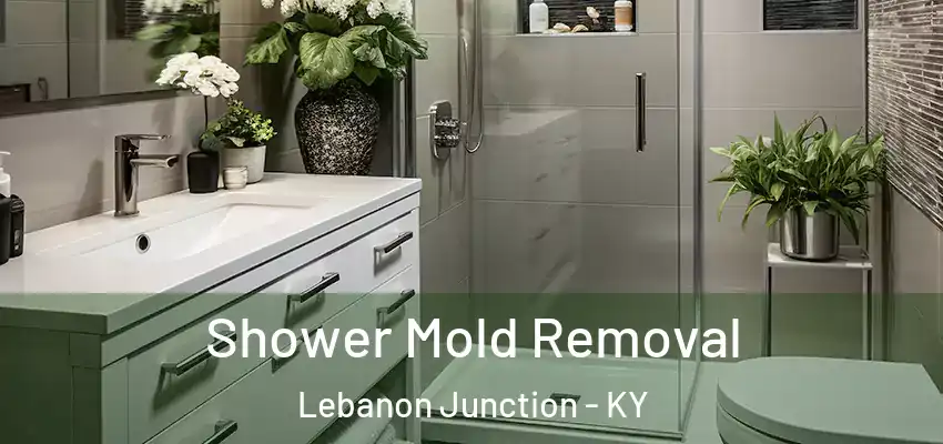 Shower Mold Removal Lebanon Junction - KY