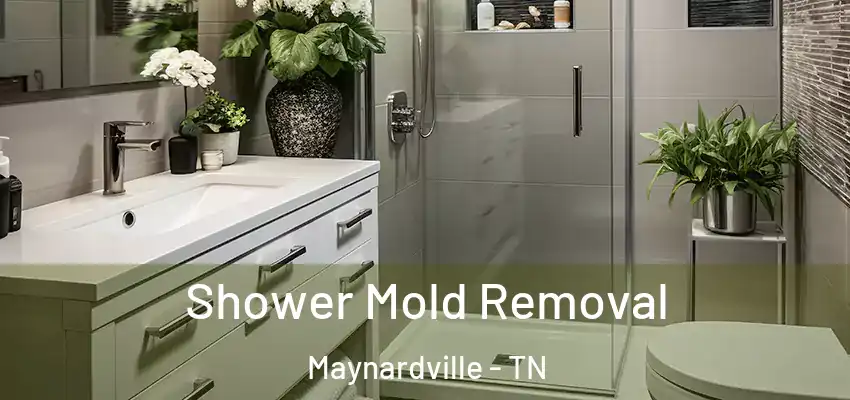  Shower Mold Removal Maynardville - TN