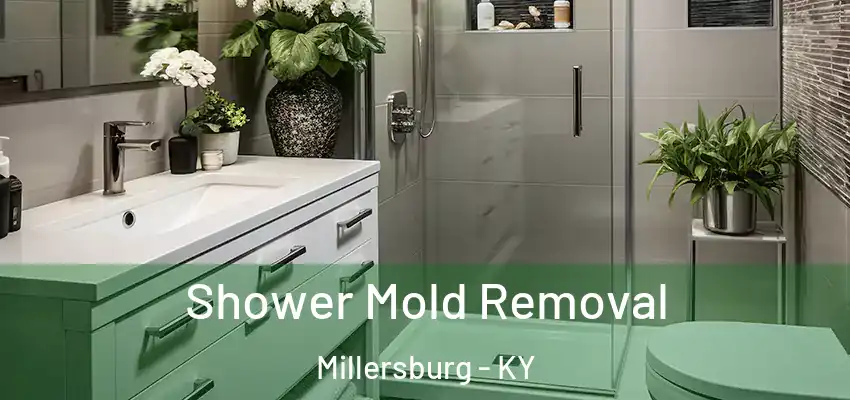 Shower Mold Removal Millersburg - KY
