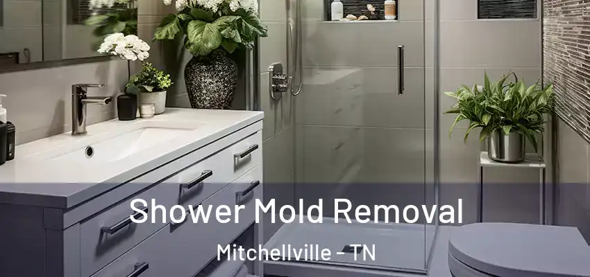  Shower Mold Removal Mitchellville - TN