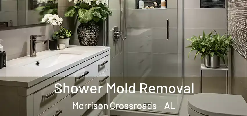  Shower Mold Removal Morrison Crossroads - AL