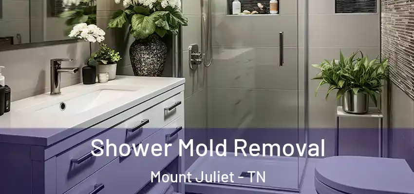  Shower Mold Removal Mount Juliet - TN