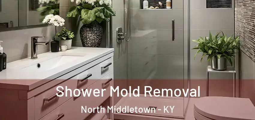 Shower Mold Removal North Middletown - KY