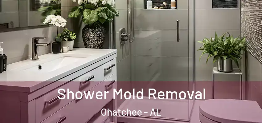  Shower Mold Removal Ohatchee - AL