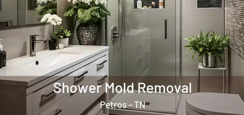  Shower Mold Removal Petros - TN