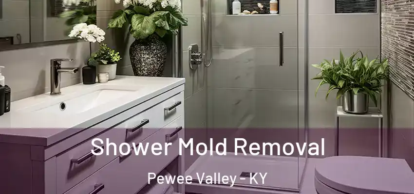  Shower Mold Removal Pewee Valley - KY