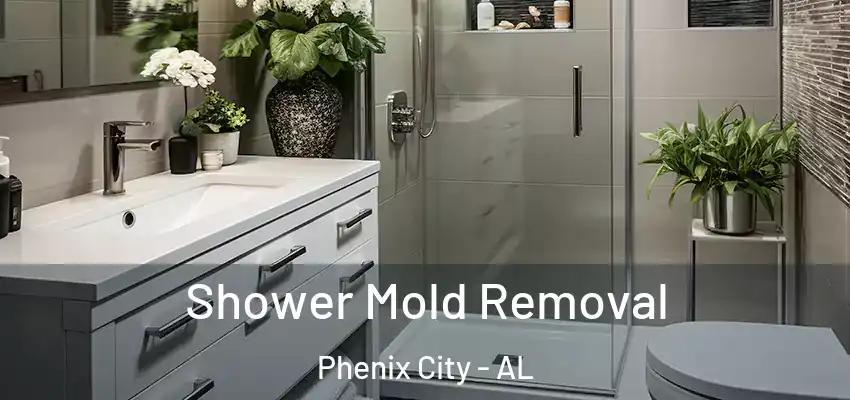 Shower Mold Removal Phenix City - AL