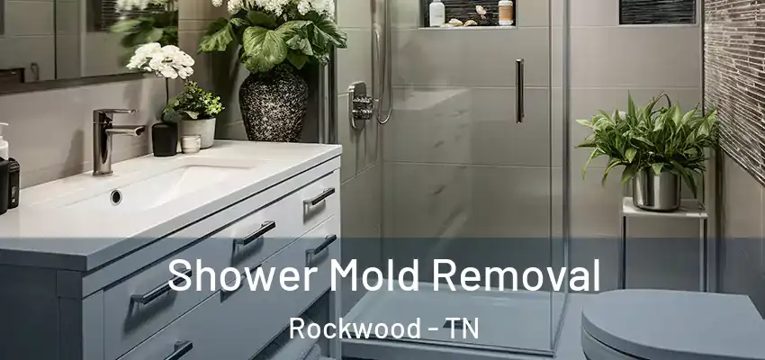  Shower Mold Removal Rockwood - TN