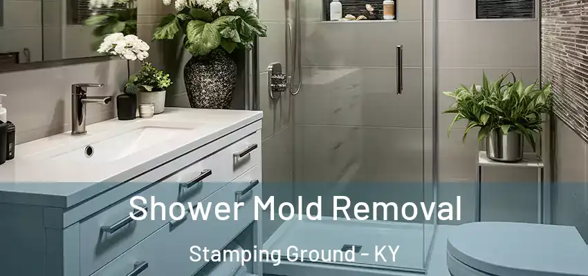  Shower Mold Removal Stamping Ground - KY