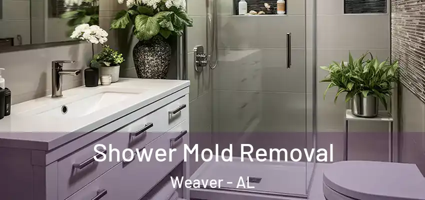  Shower Mold Removal Weaver - AL