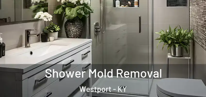 Shower Mold Removal Westport - KY